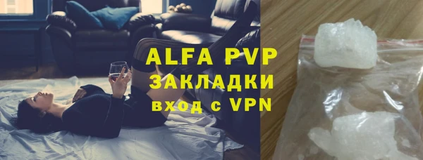 гашик Алексин