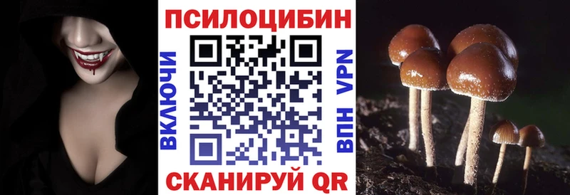 Галлюциногенные грибы Psilocybe  Купить закладки  Удачный 